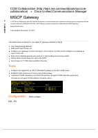 7-MGCP Gateway (1).pdf